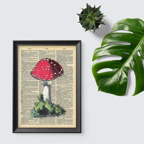 Plakat książka i muchomor