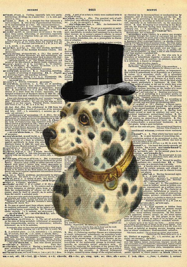 Plakat - łaciaty pies w cylindrze