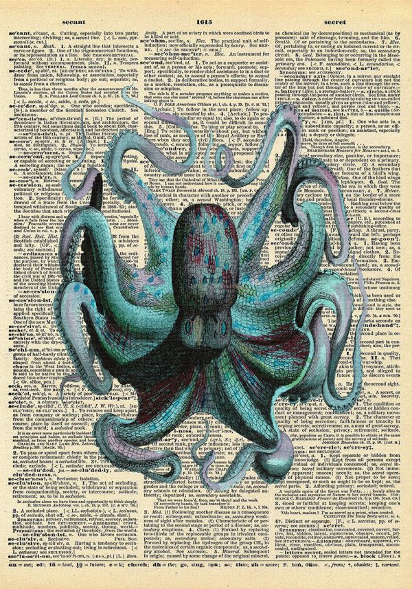 Plakat z encyklopedią i ośmiornicą