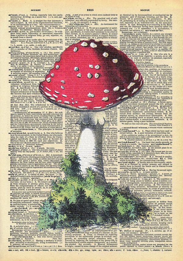 Plakat z muchomorkiem