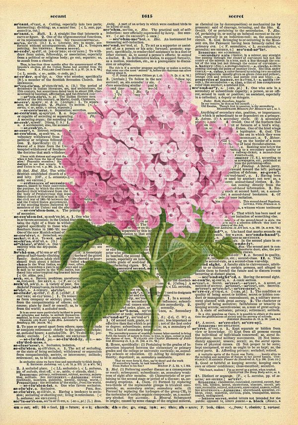 Plakat z różowym kwiatem