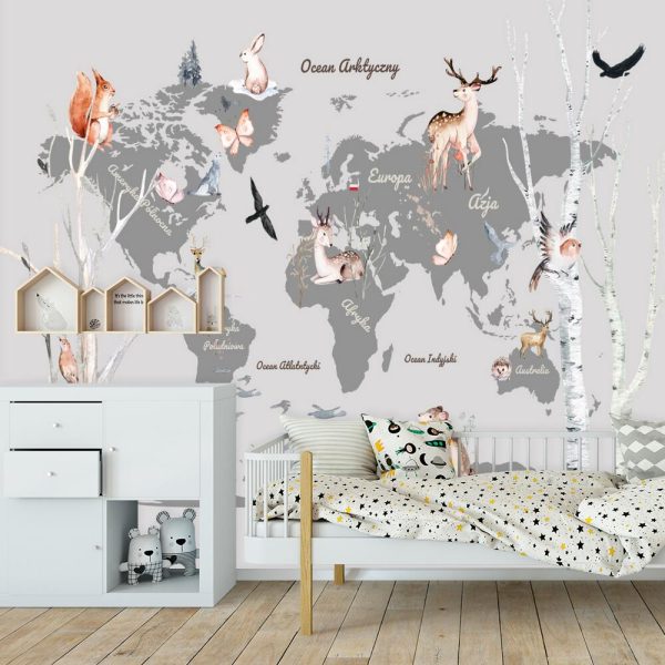 Foto-tapeta z lądami i oceanami