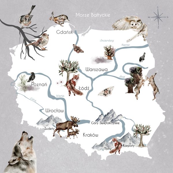 Fototapeta miasta w Polsce