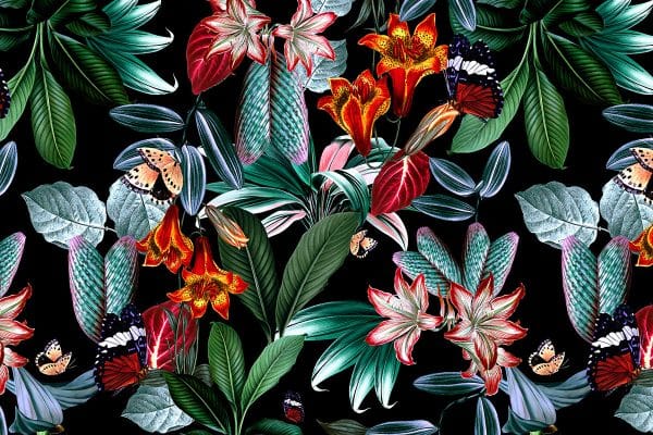 Tapeta - kwiaty na czarnym tle