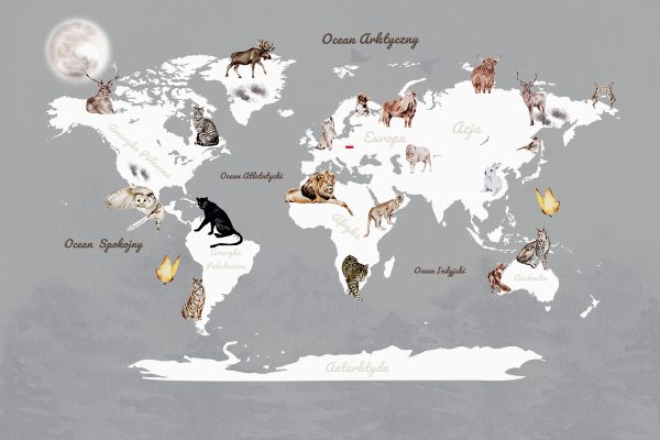 Tapeta z motywem mapy