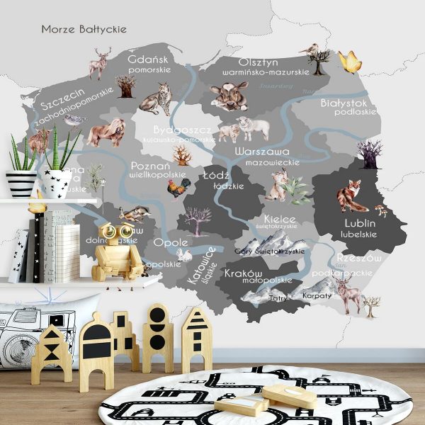 Tapeta z województwami