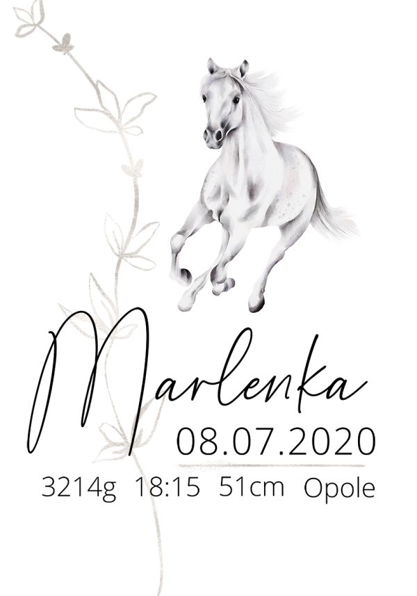 Metryczka na plakacie