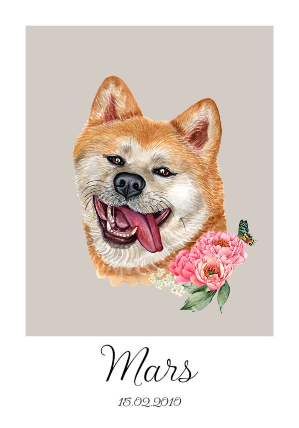 plakat akita inu pies