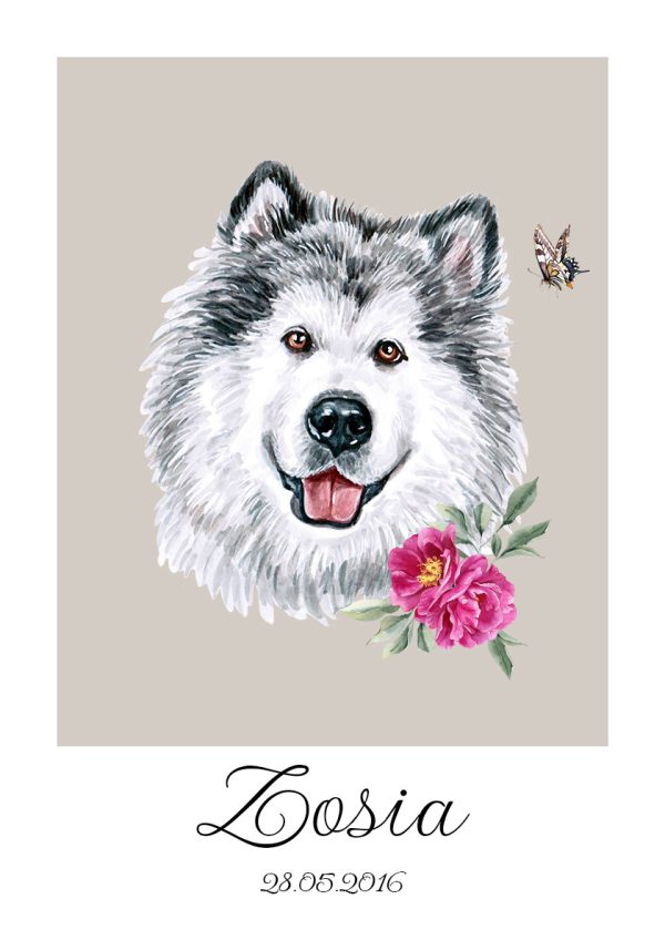 plakat alaskan malamute