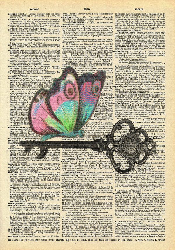 Plakat kolorowy motyl