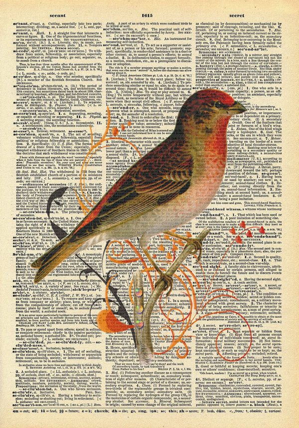 Plakat z gilem na gałązce