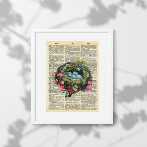 Plakat z jajami pleszki zwyczajnej