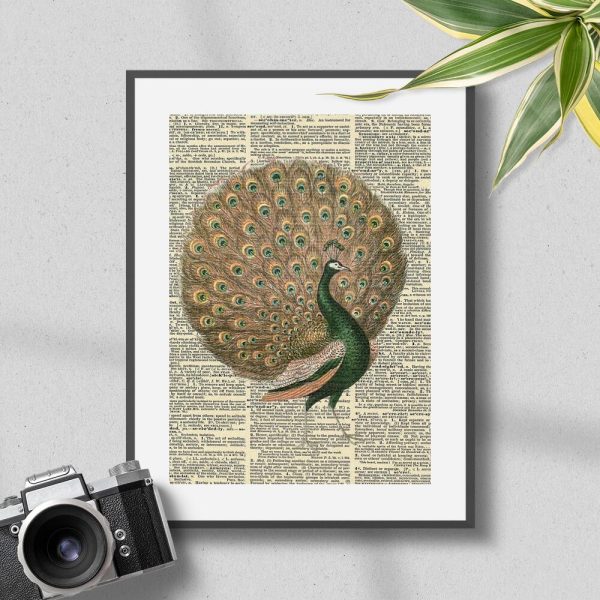 Plakat z królewskim ptakiem