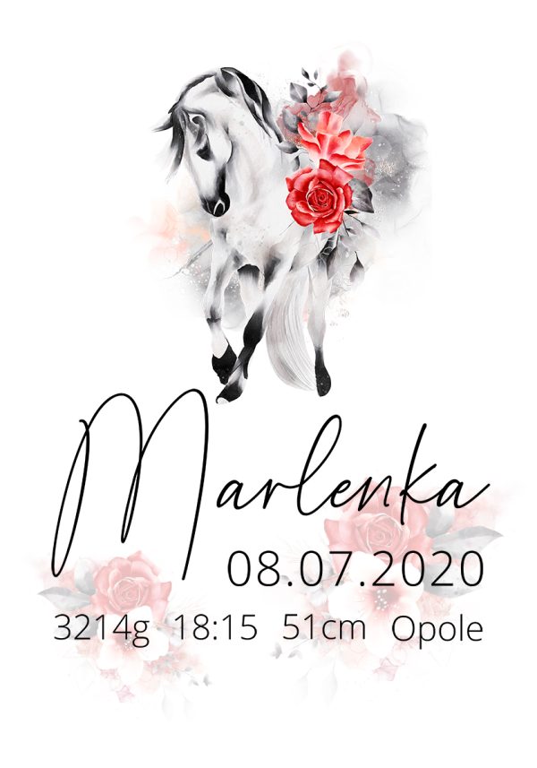 Plakat z metryczką dla dziewczynki