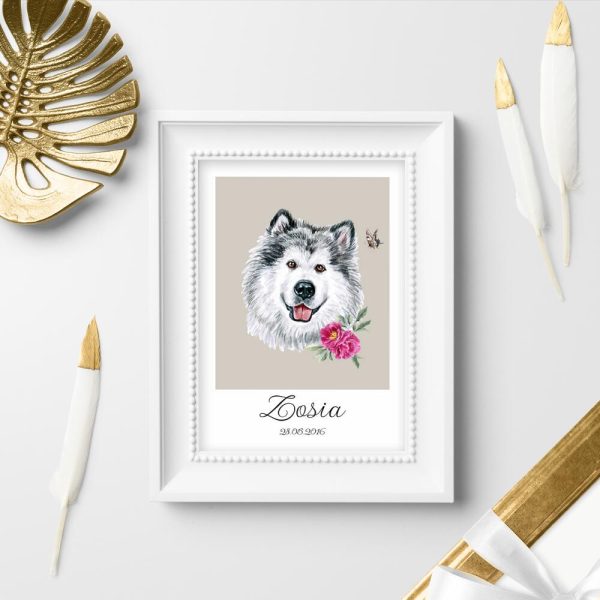 plakat z metryczką dla psa alaskan malamute