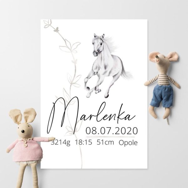 Plakat z metryczką i motywem konia