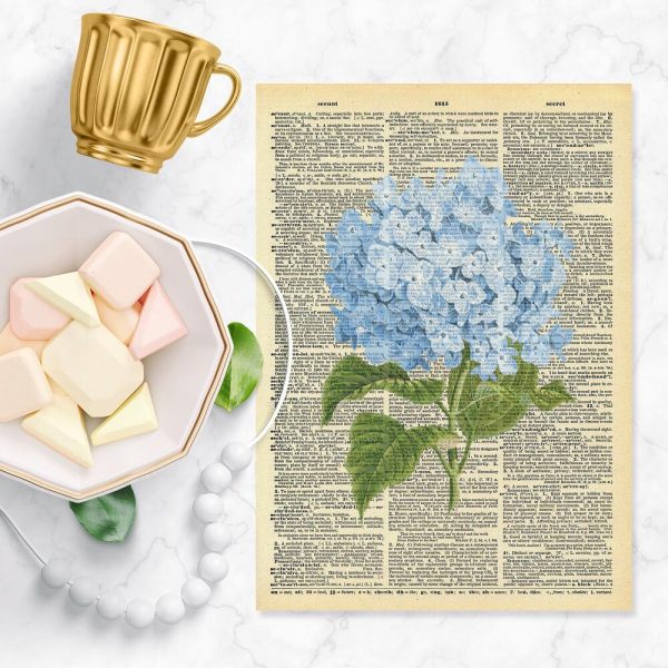 Plakat z motywem botanicznym