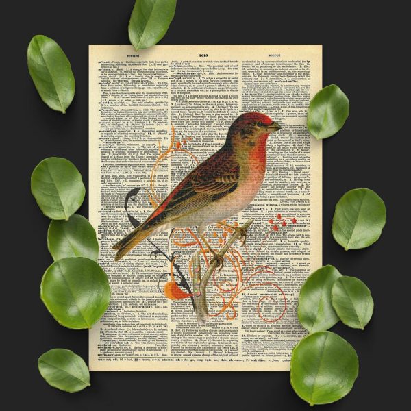 Plakat z motywem gila