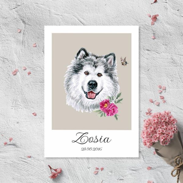 plakat z motywem psa alaskan malamute