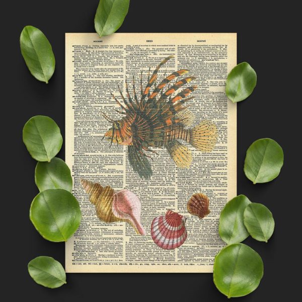 Plakat z ognicą pstrą