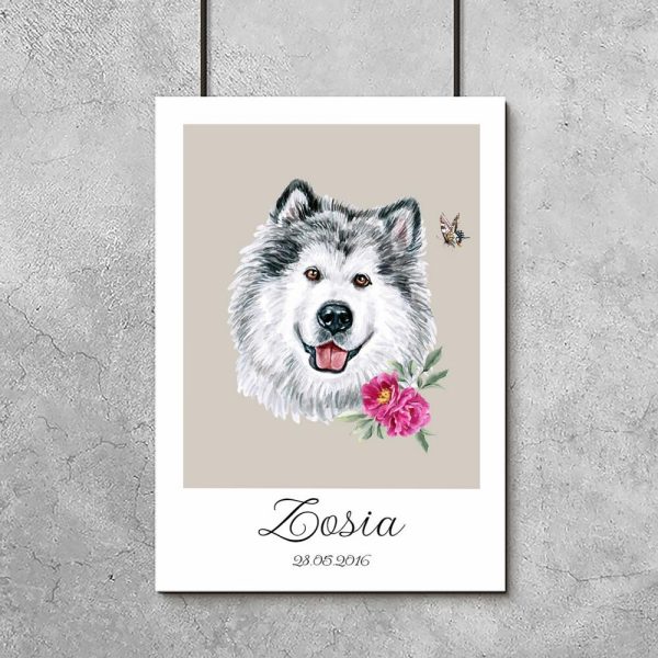 plakat z psem alaskan malamute