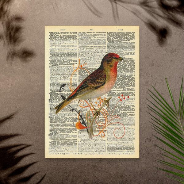 Plakat z ptakiem z czerwonym brzuszkiem