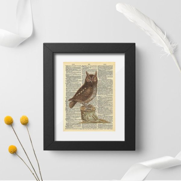 Plakat z sową z uszami