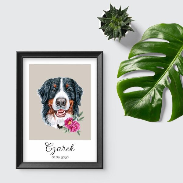 plakat przedstawiający berneńskiego psa pasterskiego