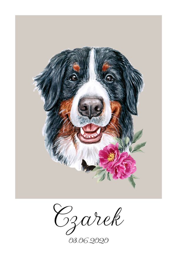 plakat z berneńskim psem pasterskim