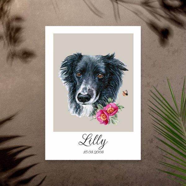 Plakat z border collie