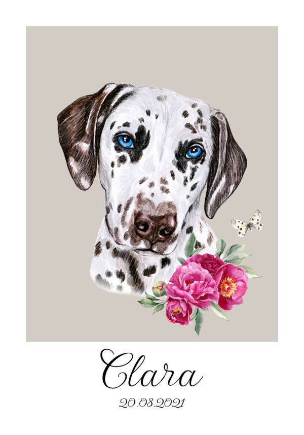 Plakat z dalmatyńczykiem