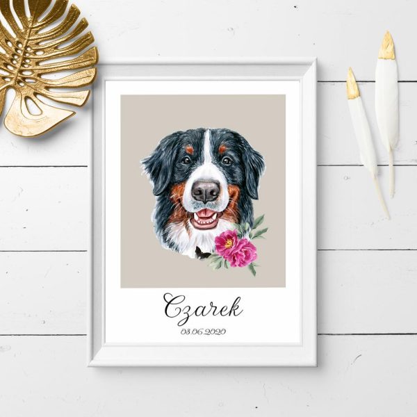 plakat z metryczką dla berneńskiego psa pasterskiego