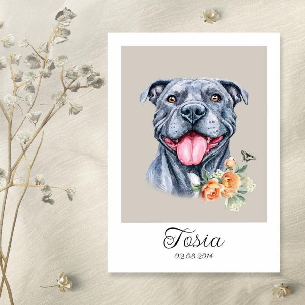 Plakat z metryczką dla pitbulla - Tosia