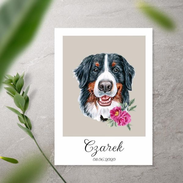 plakat z metryczką i berneńskim psem pasterskim