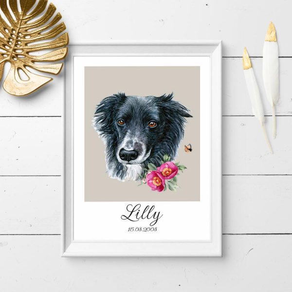 Plakat z motywem rasy border collie