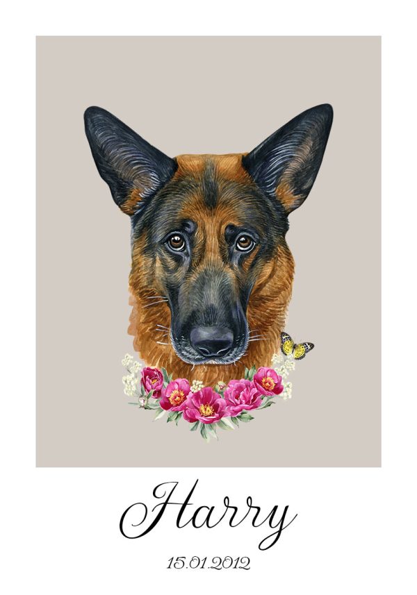 Plakat z owczarkiem - Harry