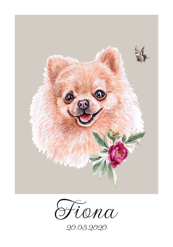 Plakat z pomeranianem - szpic