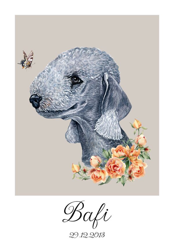 plakat z psem bedlington terrier