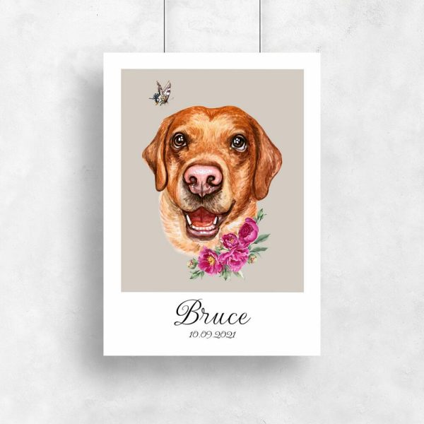 Plakat z rasa labrador