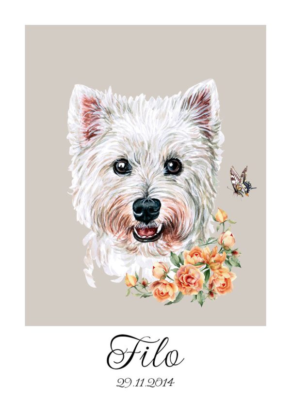 Plakat z rasą psa - west highland white terrier