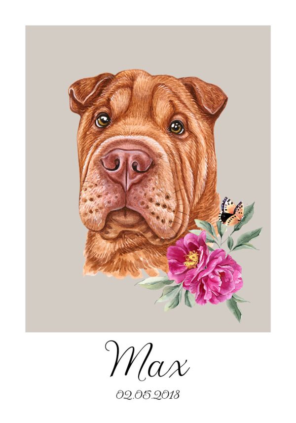 Plakat z rasą shar pei