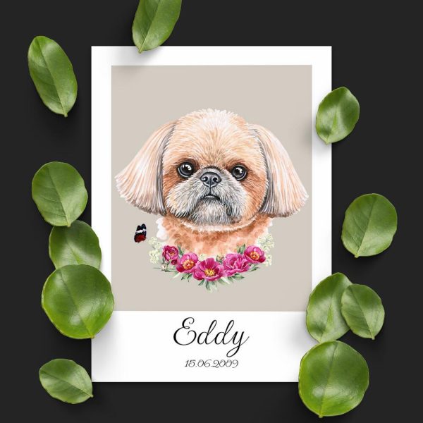 Plakat z rasą shih tzu