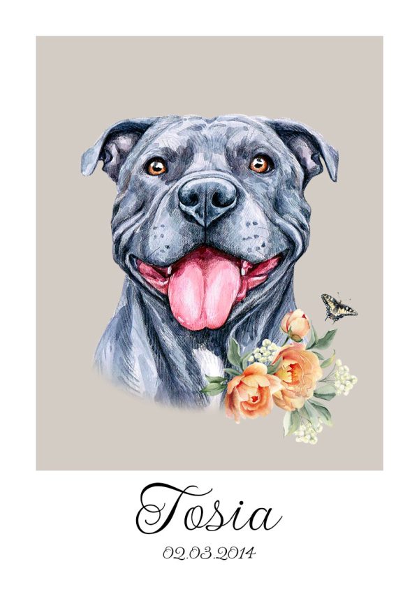 Plakat z Tosią - pitbull - metryczka