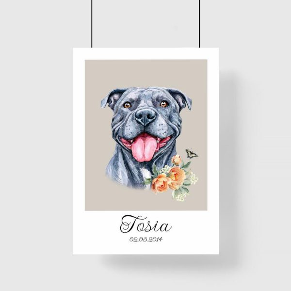 Plakat z Tosią - pitbull - metryczka