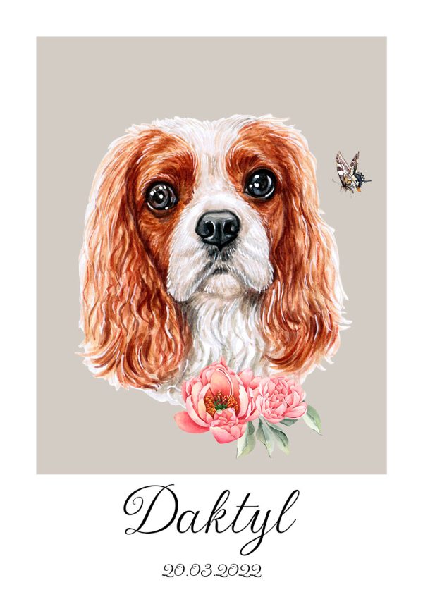 plakat Cavalier king charles spaniel