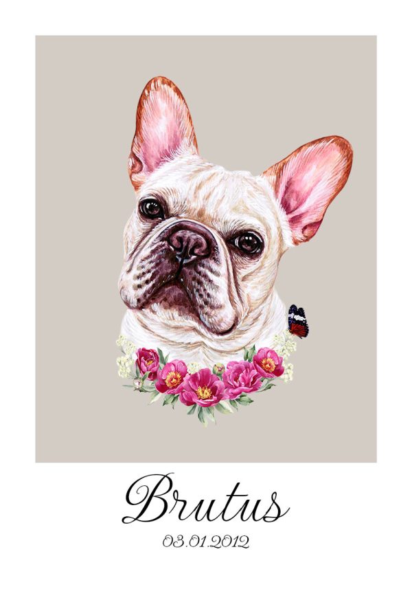 plakat z buldogiem francuskim