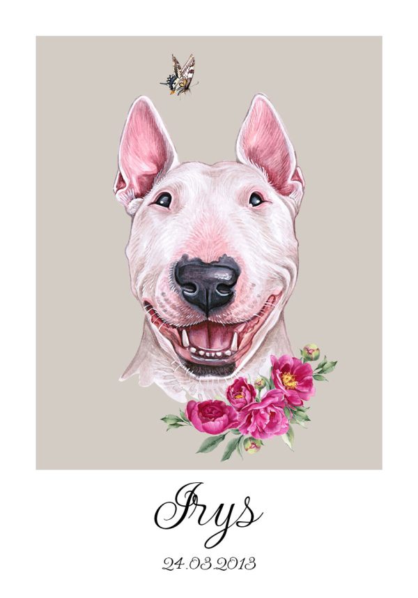 plakat z bulterierem