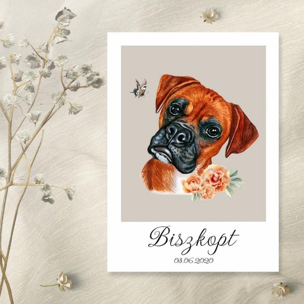 plakat z metryczką dla boksera