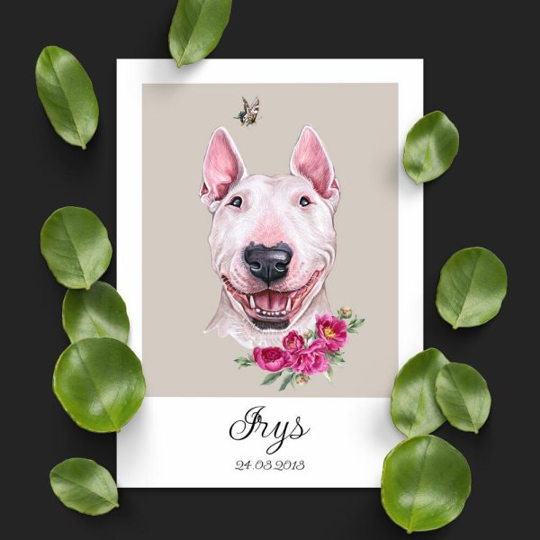 plakat z motywem bulteriera