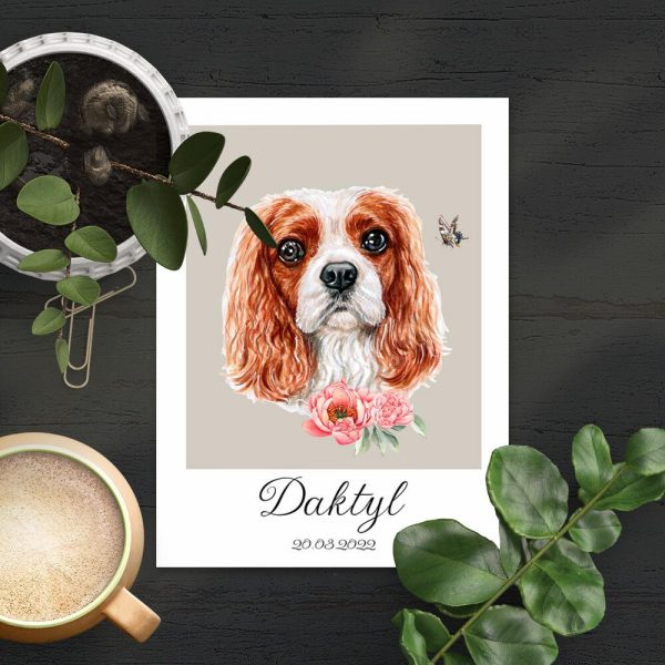plakat z motywem psa Cavalier king charles spaniel